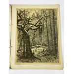 [Kamieński Antoni, Bartkiewicz Zygmunt] Skici z Bělověžského pralesa - 14 kartonů Antoniho Kamińského [Varšava 1912].