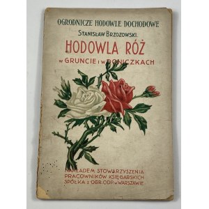 Brzozowski Stanisław, Hodowla róż w gruncie i w doniczkach