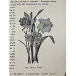 [Półskórek] Betten Robert - Praktyczna hodowla kwiatów [Obszerny poradnik na temat pielęgnacji roślin w domu]