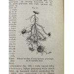 Schoedler Friedrich, Zasady botaniki: podług 23-go wydania dzieła Księga przyrody d-ra Fryderyka Schoedlera zmienionego i zredagowanego przez prof. dr. O. W. Thomé'go