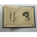 Zielnik, czyli atlas roślin leczniczych, znachodzących się w Kneippa Aptece domowej [...]. Zawiera opisy i wierne obrazy roślin leczniczych [...] i niektórych używanych często przez lud