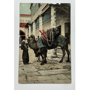 [Karta pocztowa] Turcja, Izmir [hist. Smyrna], Wielbłąd [ok. 1911]