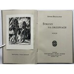 BOGUSŁAWSKI - STRUNY NA DRZEWACH