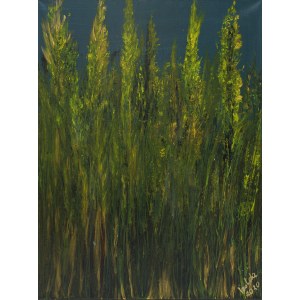Izabela Drzewiecka, Złote trawy, 2020