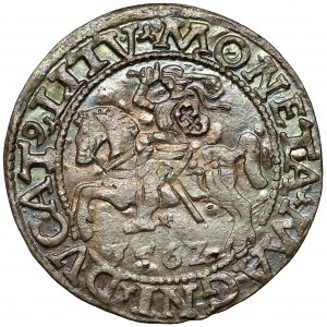 Sigismund II. Augustus, halber Pfennig Vilnius 1562