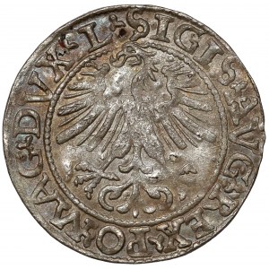 Sigismund II Augustus, Half-grosz Vilnius 1562