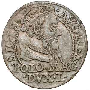Sigismund II Augustus, Grosz per Polish foot 1568, Tykocin