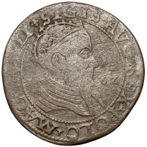 Sigismund II Augustus, Trojak Vilnius 1562 - WIDE