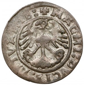 Sigismund I. der Alte, Halber Pfennig Vilnius 1519 - umgedreht N