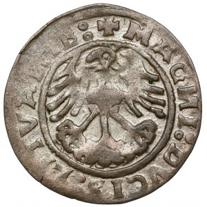 Sigismund I the Old, Half-penny Vilnius 1519 - reversed N