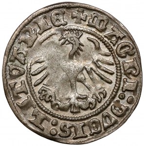 Sigismund I. der Alte, Halbpfennig Vilnius 1511 - sehr schön