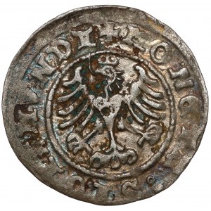 Sigismund I the Old, Half-penny Cracow 1508