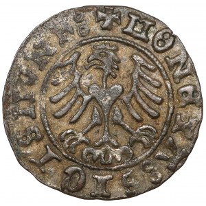 Zikmund I. Starý, půlgroše Krakov 15101 - dobový padělek