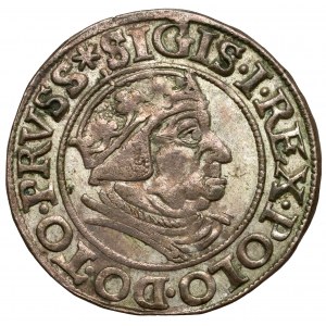 Zikmund I. Starý, gdaňský groš 1538 - PRVSS - velmi pěkný
