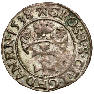 Sigismund I. der Alte, Danziger Pfennig 1538 - PRVSS - sehr schön