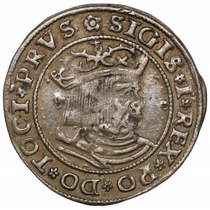 Zygmunt I Stary, Grosz Toruń 1529