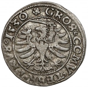 Sigismund I the Old, Torun penny 1530 - GROS
