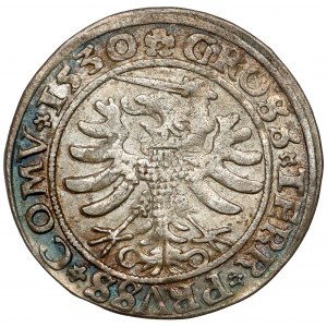 Sigismund I the Old, Torun 1530 penny - PRVSS*COMV error - rare