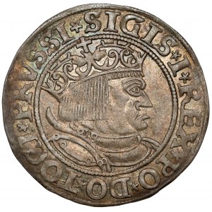 Sigismund I. der Alte, Toruń Pfennig 1532 - PRVSSI - sehr schön