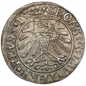 Sigismund I. der Alte, Toruń Pfennig 1532 - PRVSSI - sehr schön