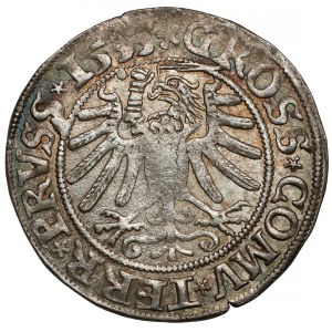Sigismund I the Old, Penny of Toruń 1533