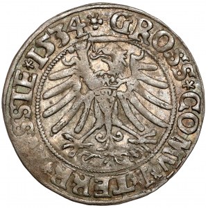 Sigismund I the Old, Torun 1534 penny - with hair - very nice