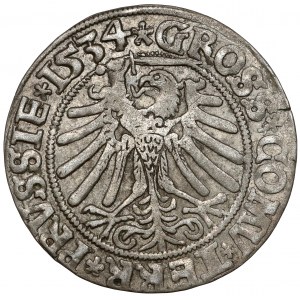 Sigismund I. der Alte, Grosz Toruń 1534 - mit Haar