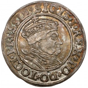 Žigmund I. Starý, torunský groš 1535 - posledný - krásny