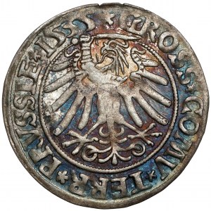 Sigismund I the Old, Torun penny 1535 - the last one