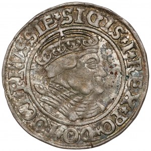 Sigismund I. der Alte, Toruń Pfennig 1535 - letzter - sehr schön