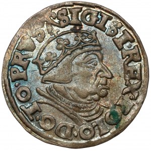 Sigismund I the Old, Trojak Gdansk 1538 - beautiful