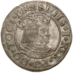 Sigismund I the Old, Gdańsk penny 1531 - PR
