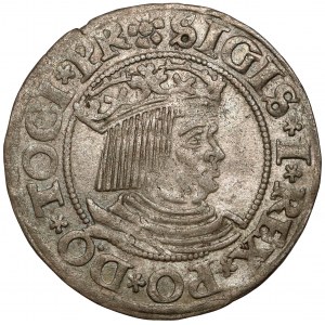 Sigismund I. der Alte, Grosz Gdańsk 1531 - PR