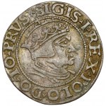 Sigismund I. der Alte, Danziger Pfennig 1548 - selten