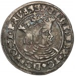 Sigismund I the Old, Torun penny 1528 - the first