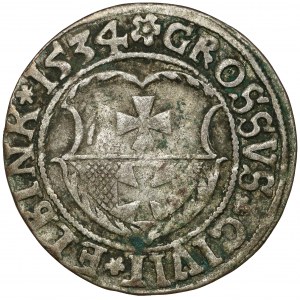 Sigismund I. der Alte, Pfennig Elbląg 1534