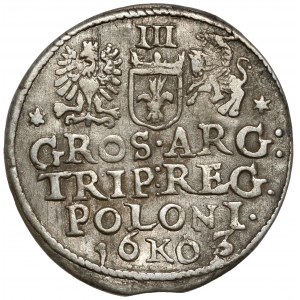 Sigismund III Vasa, Trojak Kraków 1603