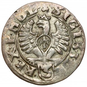 Sigismund III. Vasa, Halbspur Bydgoszcz 1614 - Adler