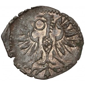 Sigismund III Vasa, Wschowa denarius 1592 CWF - B.RZADKI