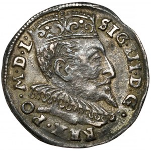 Sigismund III Vasa, Troika Vilnius 1594