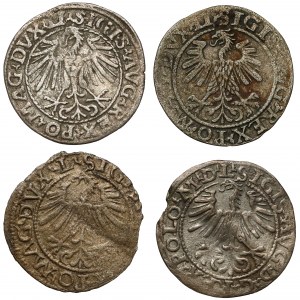 Zygmunt II August, Półgrosz Wilno 1548-1564 (4szt)