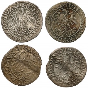 Sigismund II. Augustus, Vilniuser Halbpfennig 1548-1564 (4 Stück)