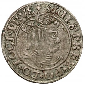 Sigismund I the Old, Torun 1530 penny - sword to the right