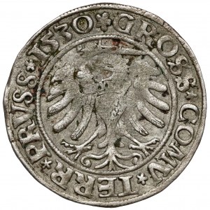 Sigismund I the Old, Torun 1530 penny - sword to the right