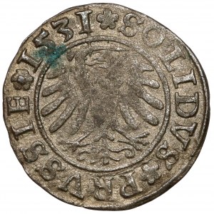Zikmund I. Starý, Szeląg Toruń 1531