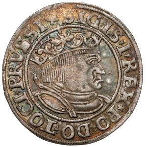 Sigismund I the Old, Torun 1533 penny - PRVSSI - rarer