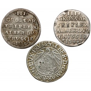 Prussia, Albrecht Hohenzollern, Trojaks and a penny 1535-1544 - set (3pcs)