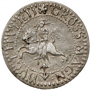 Sigismund III Vasa, Penny Vilnius 1611