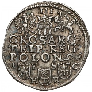 Zygmunt III Waza, Trojak Bydgoszcz 1596 - róża