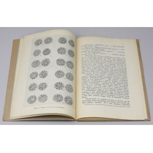 Bolesław Chrobry in Böhmen - eine numismatische Skizze, M. Gumowski